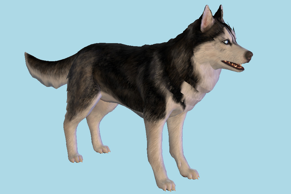 Fallout 4 - Husky Dog 3d model
